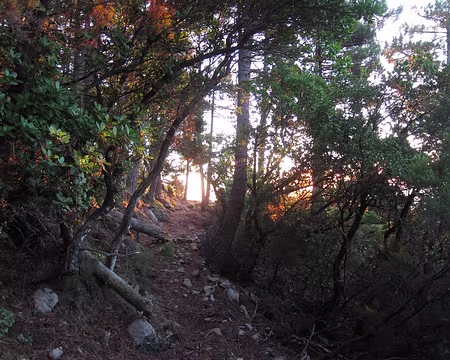 PXL180 Vers Cartalavone au soleil levant