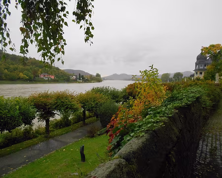 PXL008 Le Rhin et au loin le massif des Siebengebirge