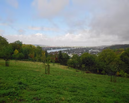 PXL026 Au premier plan Königswinter et au loin Bonn.