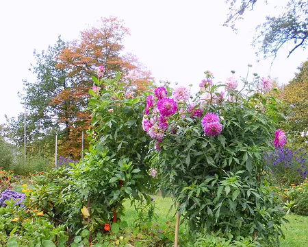 PXL032 Merci à Valentine de nous avoir fait découvrir Cologne et sa région.