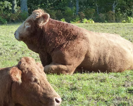 Creuse-octobre2012 021