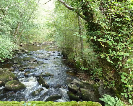 Creuse-octobre2012 026