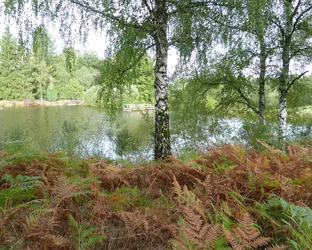 Creuse-octobre2012 052