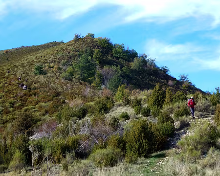 PXL067 Après le repas de midi, descente abrupte au milieu des buis vers Digne