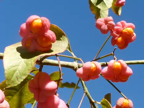 2012-10 Haute Provence