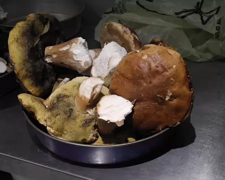 PXL014 repas au gite avec la ceuillete du jour