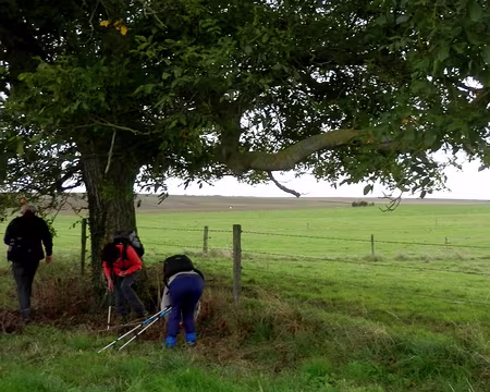 PXL015 A la recherche des noix perdues. (1)