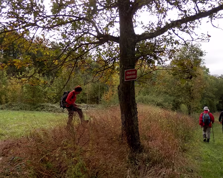 PXL018 A la recherche des noix perdues (2)