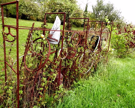PXL024 Pousser à la roue (Sognolles en Montois)