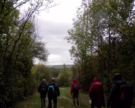 PXL025 Pluvieux qu'hier