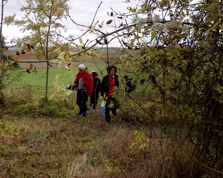 PXL028 A la recherche du lieu de pique nique.