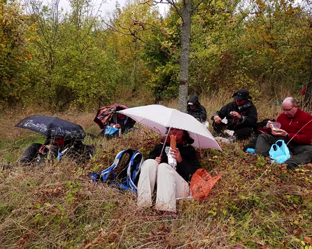 PXL029 Pique nique impressioniste