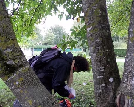 PXL044 A la recherche des noix perdues (3)