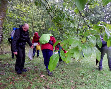 PXL045 A la recherche des noix perdues (4)