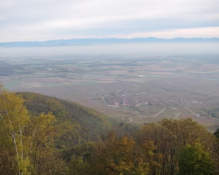 PXL007 … avec vue sur la plaine d'Alsace.