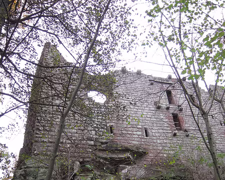 PXL008 Nous passons au pied de l'Oedenbourg ruiné…