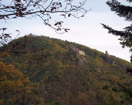 PXL017 les 3 châteaux des Ribeaupierre dominent Ribeauvillé…