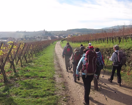 PXL023 À travers le vignoble vers Hunawihr…