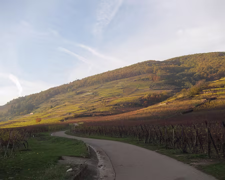 PXL041 … avant de rejoindre au soleil couchant…