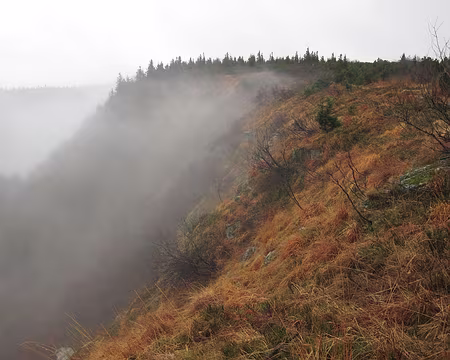 PXL050 … où s'acccroche la brume…