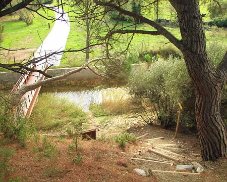 PXL026 si vous voyez les lignes d'écorces onduler, ne déreglez pas votre ordi, c'est normal