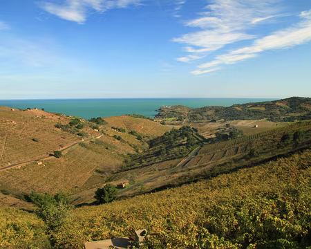 PXL035 Montée bien inclinée dans les vignes.