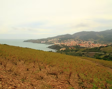 PXL063 Banyuls