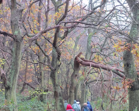 PXL011 encore quelques belles couleurs d'automne