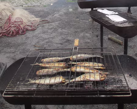 PXL019 sa majesté le Hareng, roi de la fête