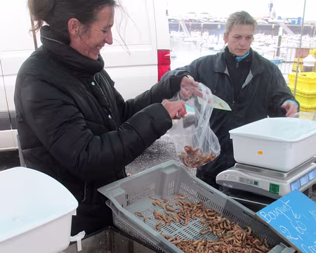 PXL021 la marchande de crevettes et de bulots