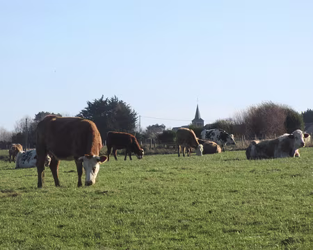 PXL055 Normandie classique