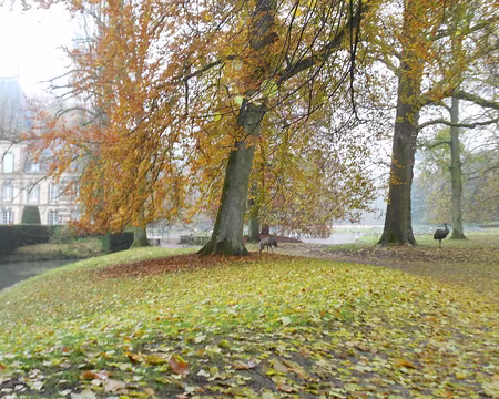 PXL008 Le Château de Sauvage