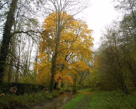 PXL017 Vallée de la Drouette