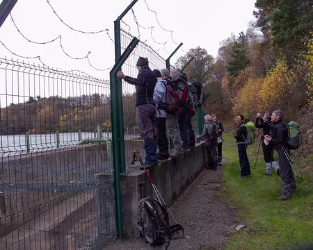 PXL003 Il va faire beau les oies sont perchées