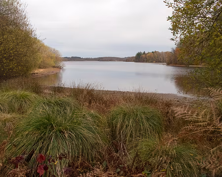 PXL008 Lac de St Pardoux