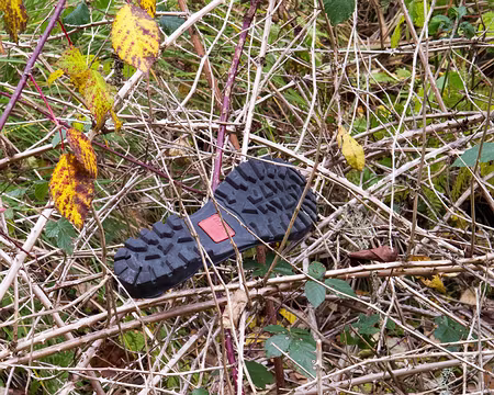 PXL009 Il devait marcher trop vite pour perdre sa semelle