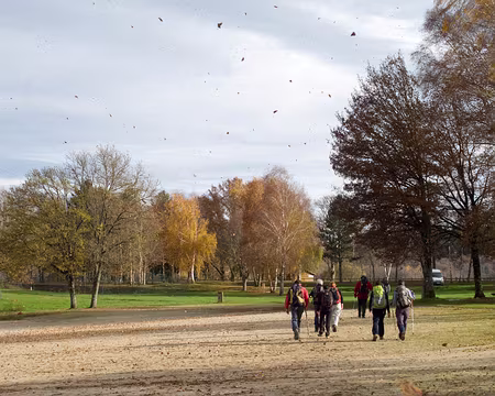 PXL012 Les feuilles volent