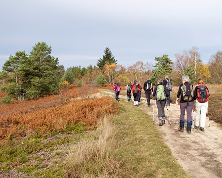 PXL015 Une éclaircie