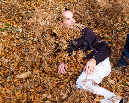 PXL024 A trop faire la sieste on se retrouve sous les feuilles mortes