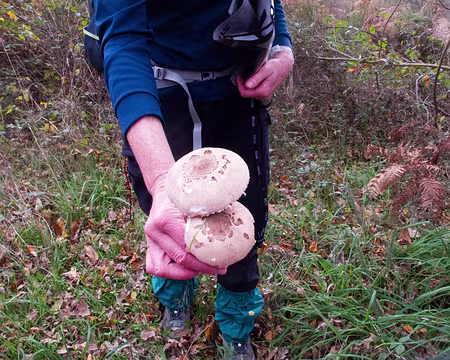 PXL036 Repas du soir