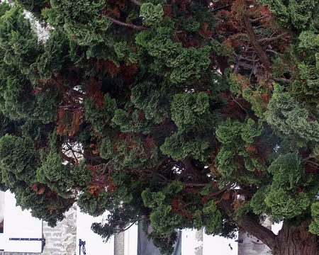 PXL040 J'ai oublié le nom