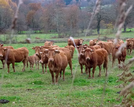 PXL001 on s'est amusé comme des foux.
