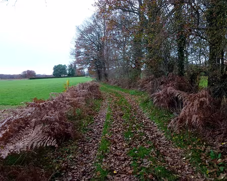 PXL003 des bijoux, partout,