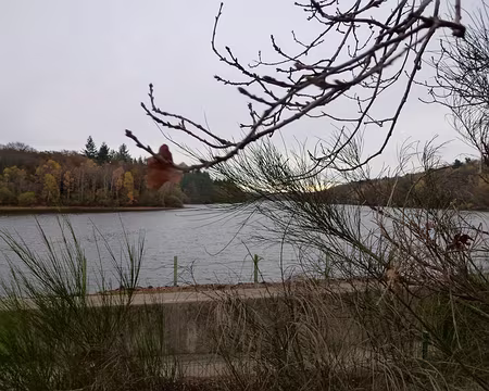 PXL004 des cailloux,