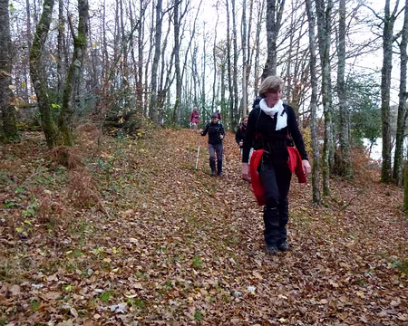 PXL007 des hiboux qui dormaient,