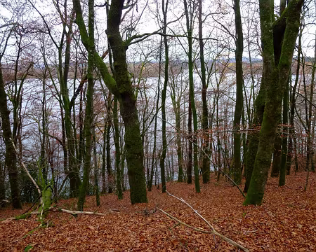 PXL008 pleins de joujoux en rêve - c'est bientôt Noël -,