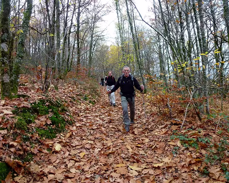 PXL009 mais pas de poux - à ma connaissance -.