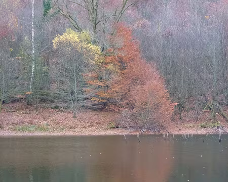 PXL014 quelques voyoux, de bon goût,