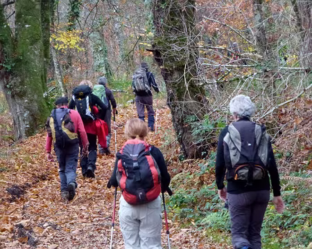 PXL016 et pleins de Limougeoux,