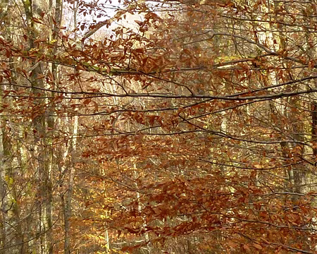 PXL033 sans totem ni taboux,